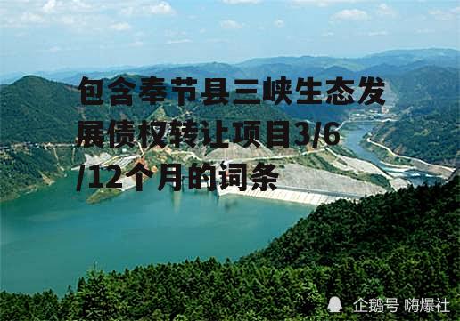 包含奉节县三峡生态发展债权转让项目3/6/12个月的词条
