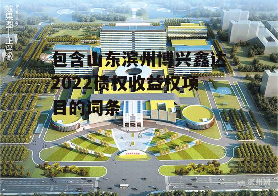 包含山东滨州博兴鑫达2022债权收益权项目的词条