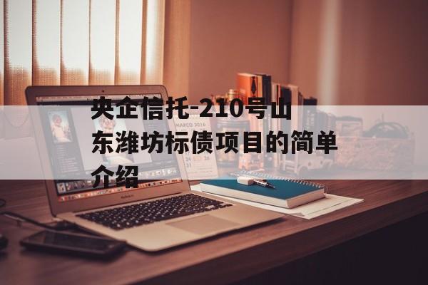 央企信托-210号山东潍坊标债项目的简单介绍