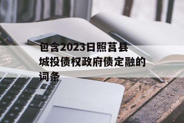 包含2023日照莒县城投债权政府债定融的词条