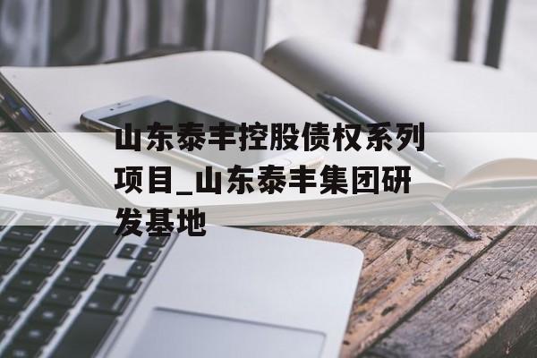 山东泰丰控股债权系列项目_山东泰丰集团研发基地