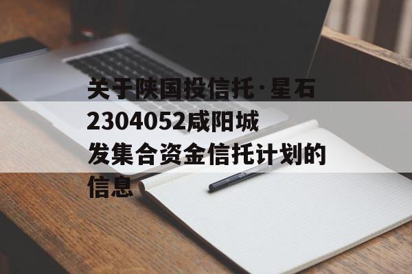 关于陕国投信托·星石2304052咸阳城发集合资金信托计划的信息