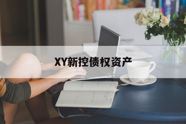 XY新控债权资产