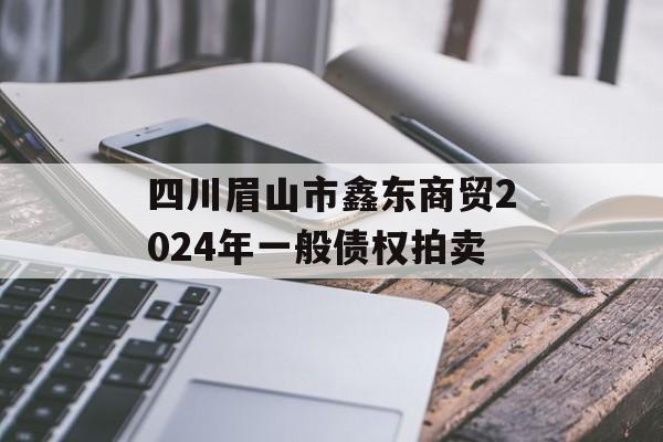 四川眉山市鑫东商贸2024年一般债权拍卖