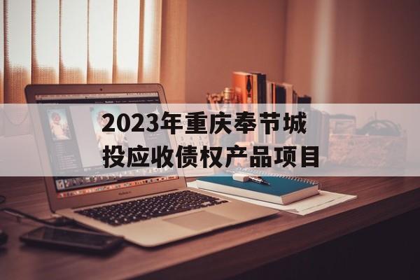 2023年重庆奉节城投应收债权产品项目